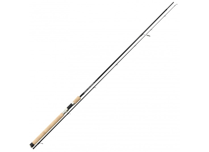 CANNE TENRYU TROUT SPECIMEN 82 H 2020
