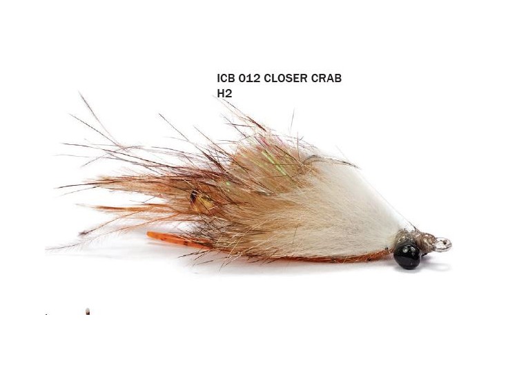 CLOSER CRAB 2 2020