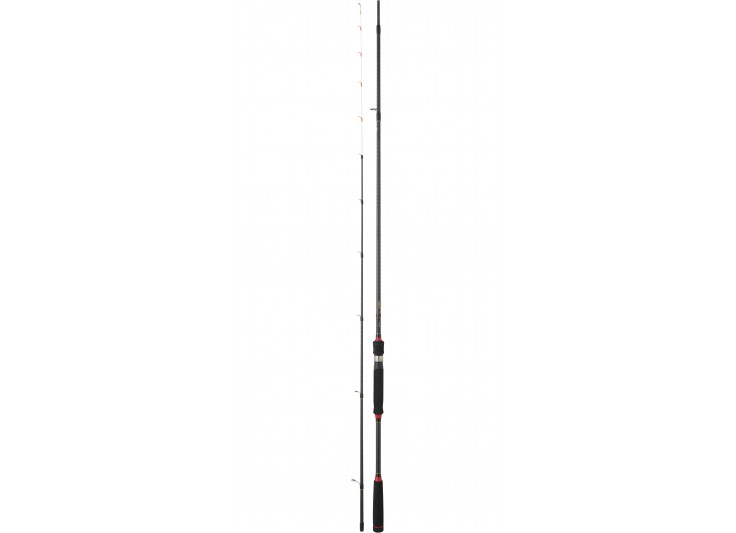 CANNE DAIWA LEGALIS TENYA 2020