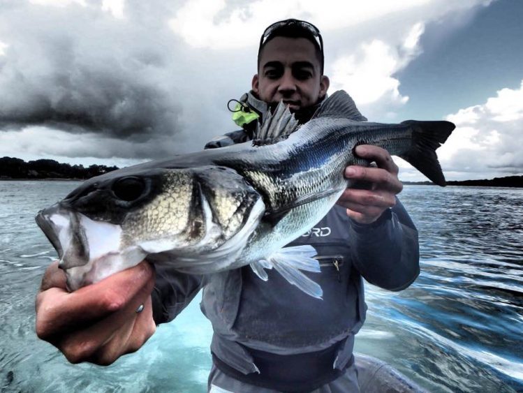 Leurres souples pour pêcher en mer le bar, loup, bonite