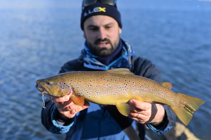 Truite fario tenue à la main par un pêcheur. Décors lac en arrière plan.