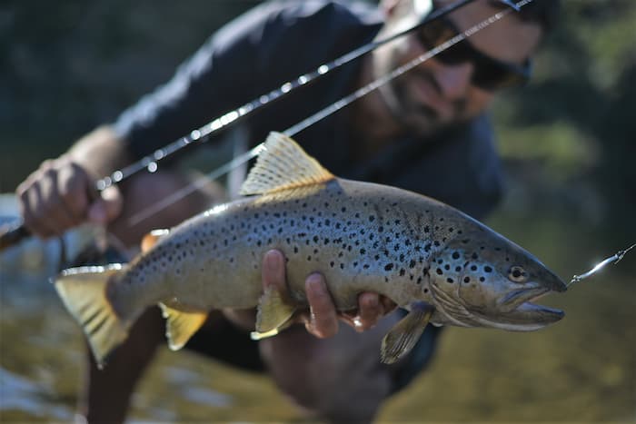 Comment pêcher la truite à l'ondulante en fonction des milieux ? - DPSG