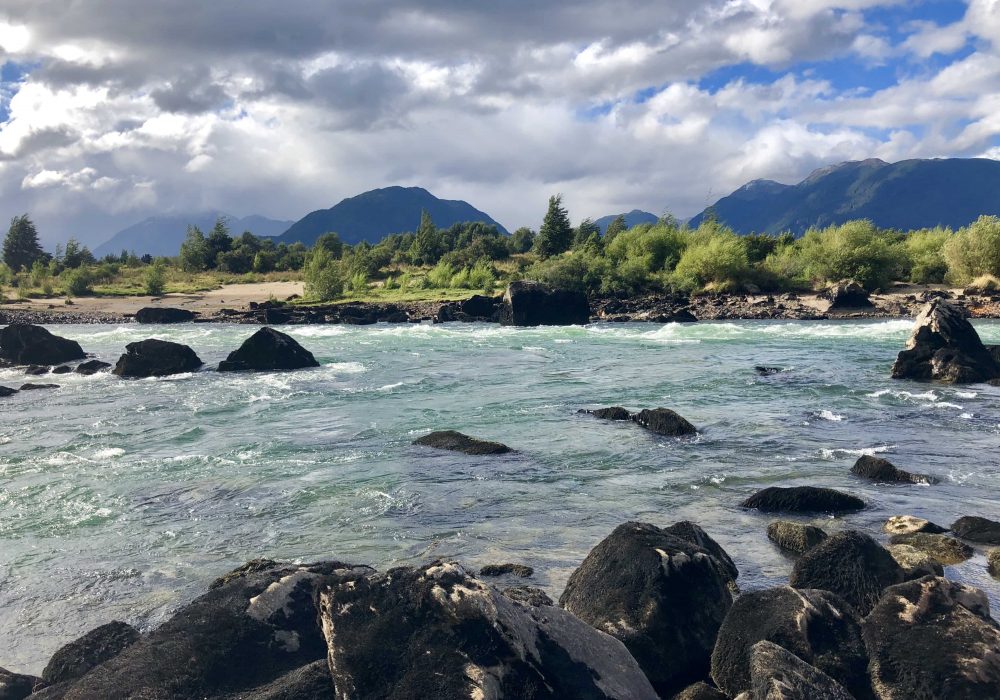 Pêche à la mouche : les truites au streamer en Patagonie chilienne