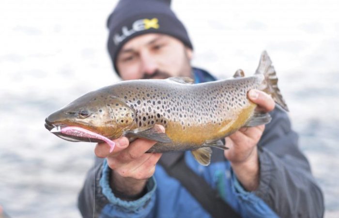 La pêche de la truite au leurre en réservoir, une bonne option durant la  fermeture ! - DPSG