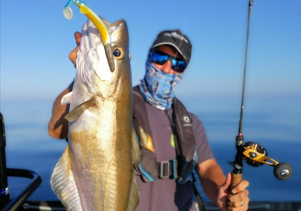 La pêche du lieu jaune aux leurres : quel matériel utiliser ?