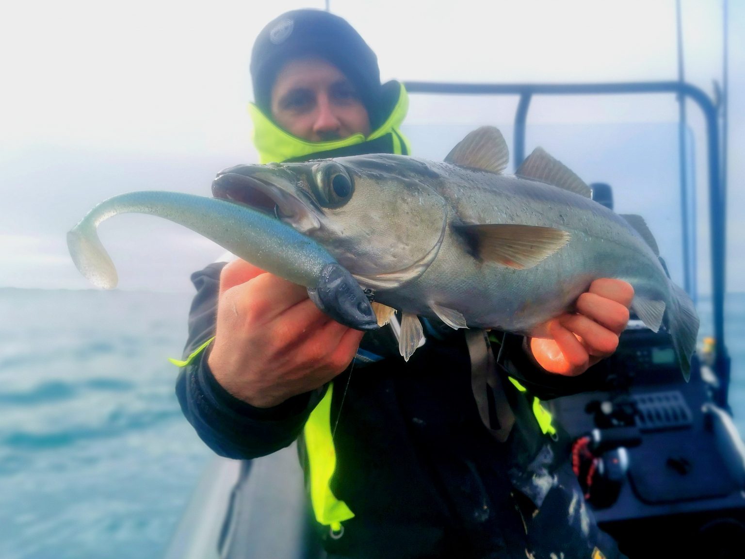 La pêche du lieu jaune au leurre : Ma sélection de leurres souples et ...