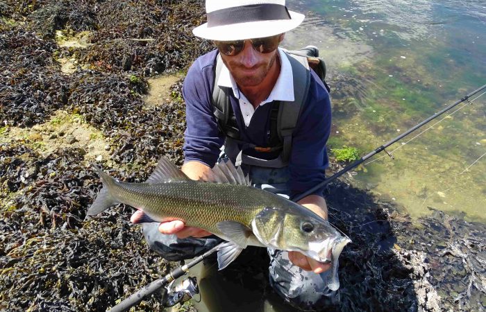 LEURRE : Comment bien débuter la pêche du bar aux leurres ?