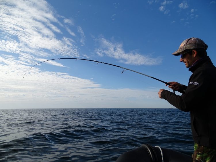 Une canne de 7 pieds avec une action de pointe marquée et rapide est parfaite pour la pêche à la volée.