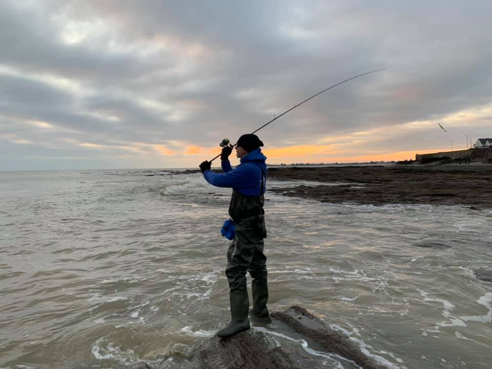 La pêche à la volée est accessible aux pêcheurs du bord et même dans peu d'eau. Lors de moments clefs, il peut éclater des chasses à distance de lancer.