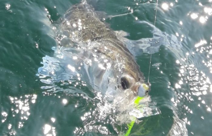 Bien choisir ses outils pour la pêche en linéaire permet d'optimiser sa pratique.