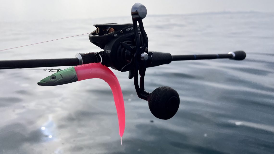 Moulinet casting monté sur canne à pêche avec leurre rose type crazy sand eel de fiiish