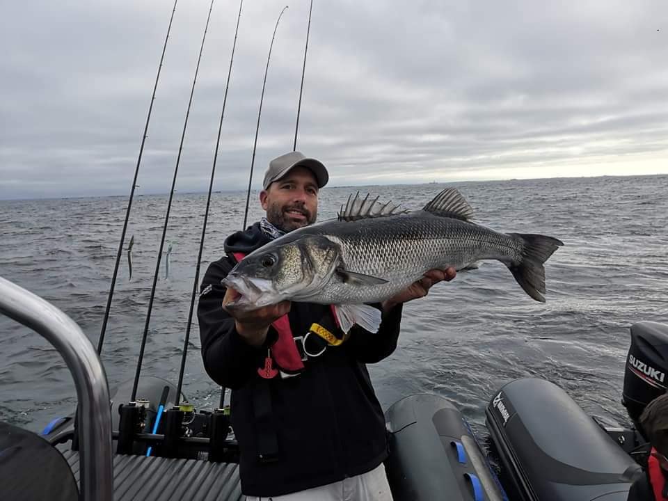 Un gros bar pris en compétition en pêchant en linéaire non pas avec un shad mais avec un slug. Long et souple, ils ondulent de tout leur long !