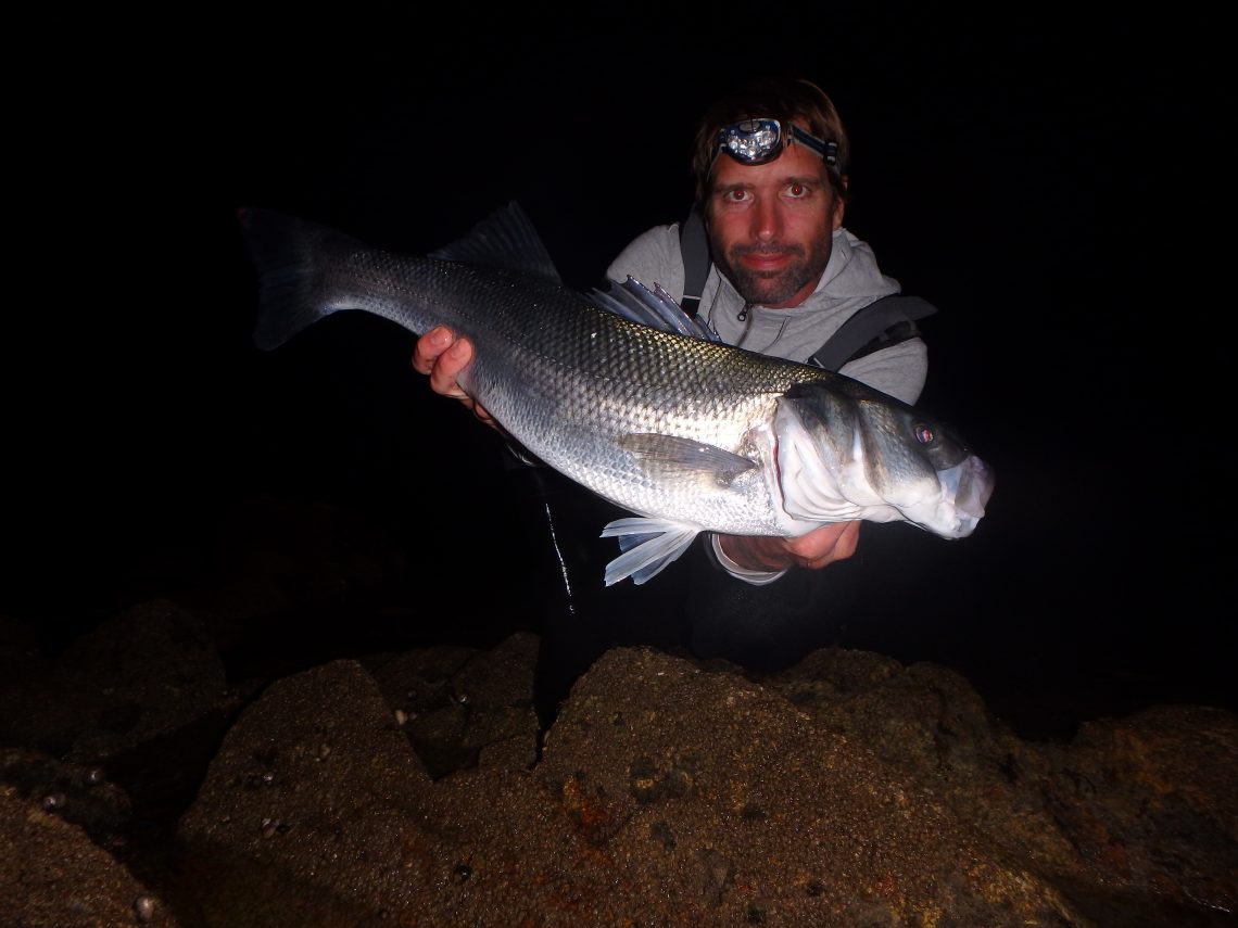 Les accessoires indispensables du pêcheur de brochet - Peche et