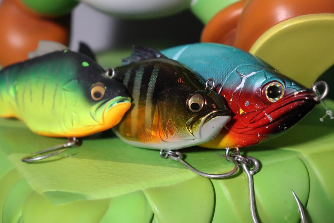 swimbaits en gros plan