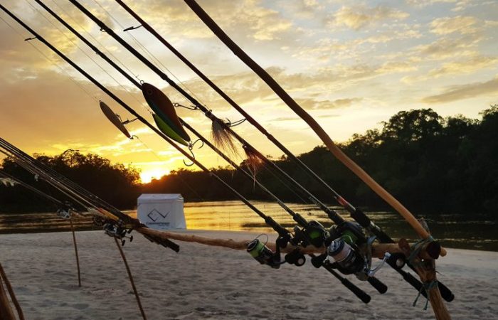 cannes à pêche coucher de soleil