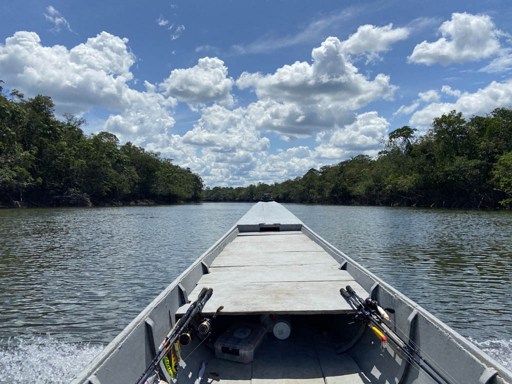 vue panoramique à la proue d'une pirogue