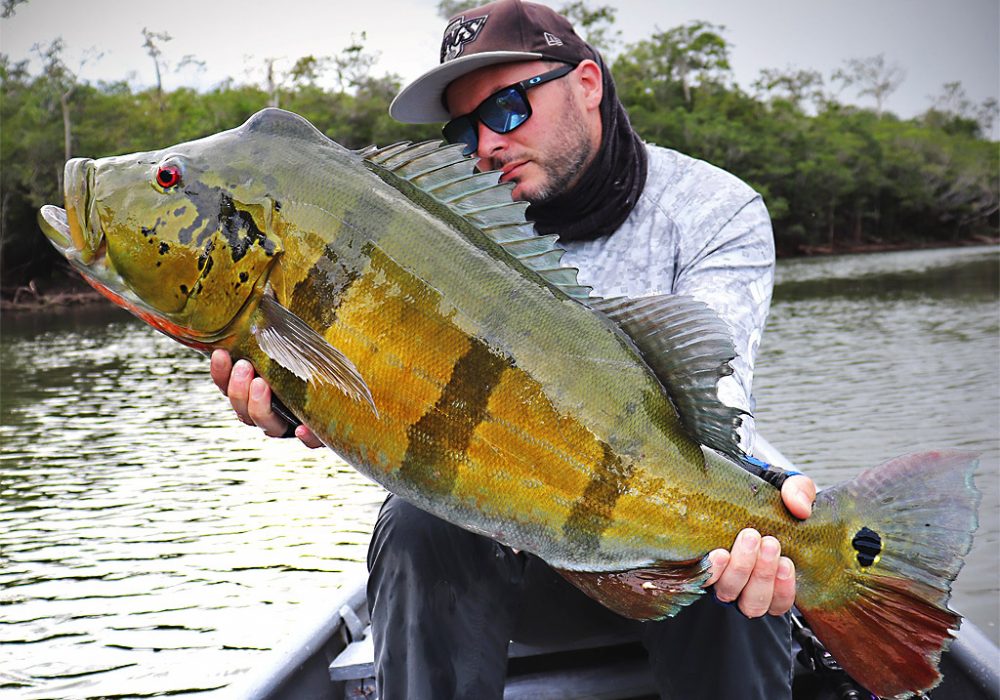 Pêche du peacock bass sur le Rio Mataven, une destination à gros poissons !