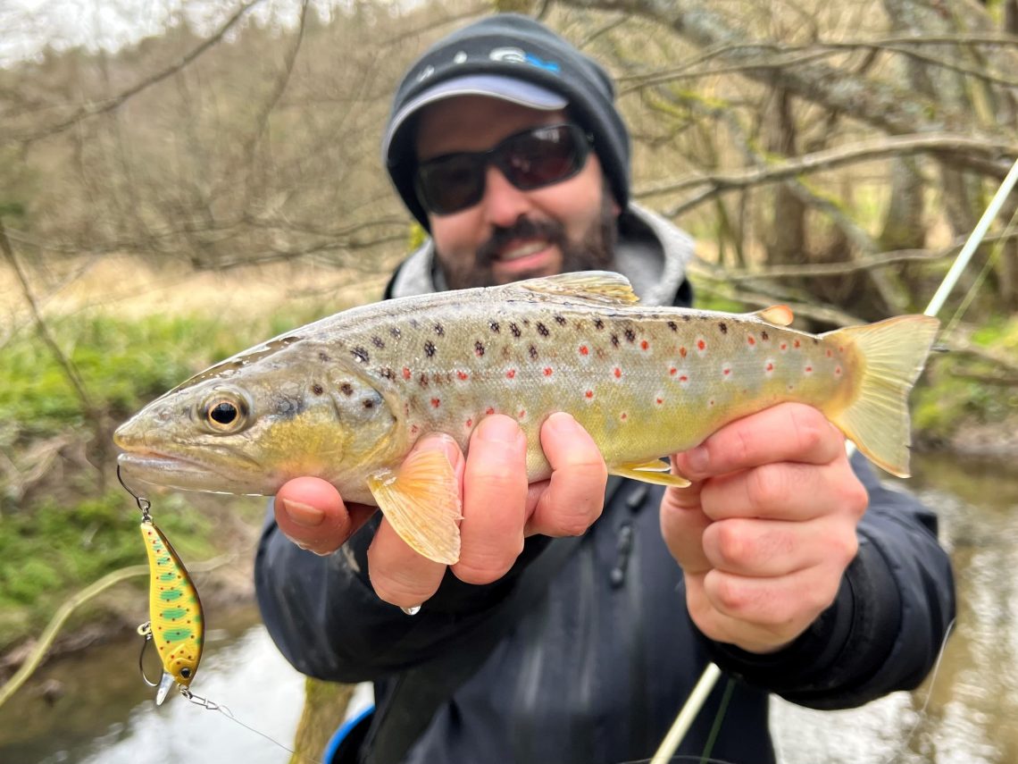 truite pêchée au leurre tenue à la main par un pêcheur