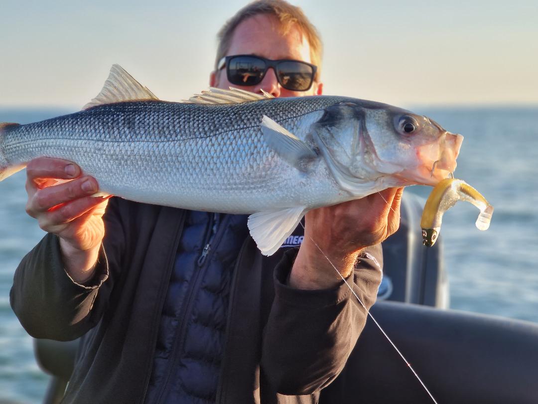 La pêche d'un jour ne fait pas celle du lendemain. Il faut parfois adapter les animations ou les formes de leurres.