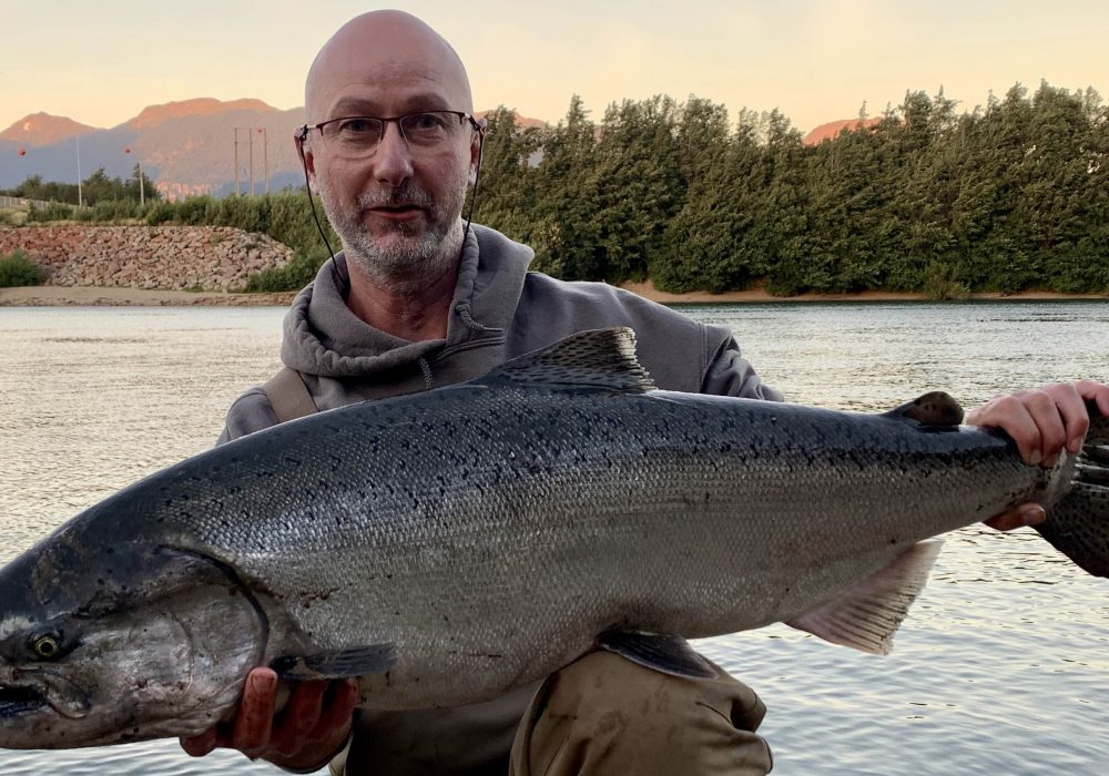 Le saumon King de Patagonie ou l’acclimatation remarquable d’une espèce introduite par erreur !