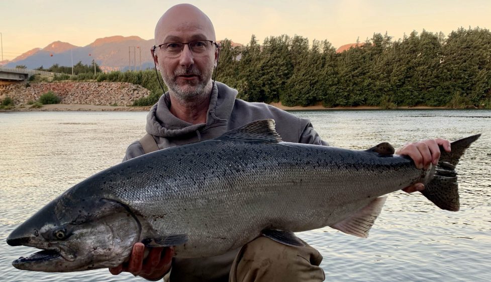Le saumon King de Patagonie ou l'acclimatation remarquable d'une espèce  introduite par erreur ! - DPSG