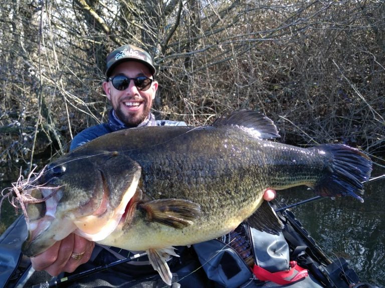Pêche du black-bass : description et utilisation du rubber Jig
