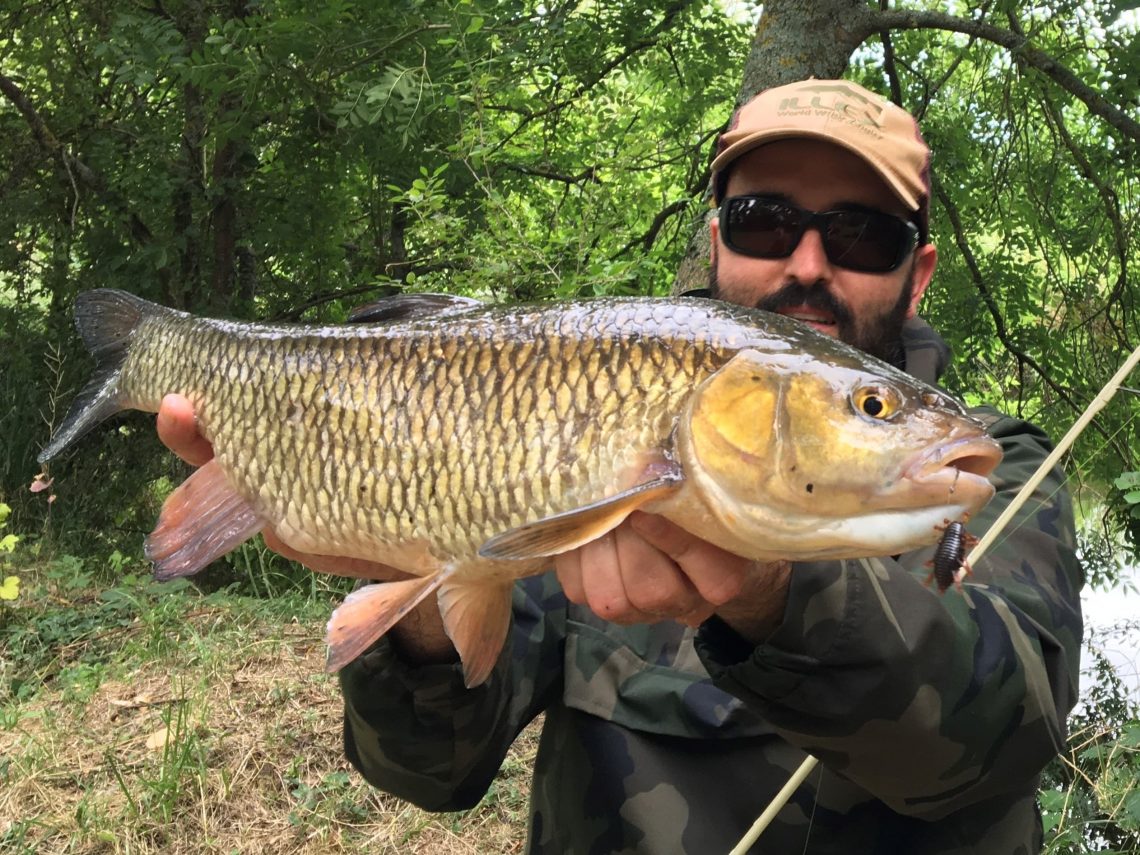 poisson tenu par un pêcheur