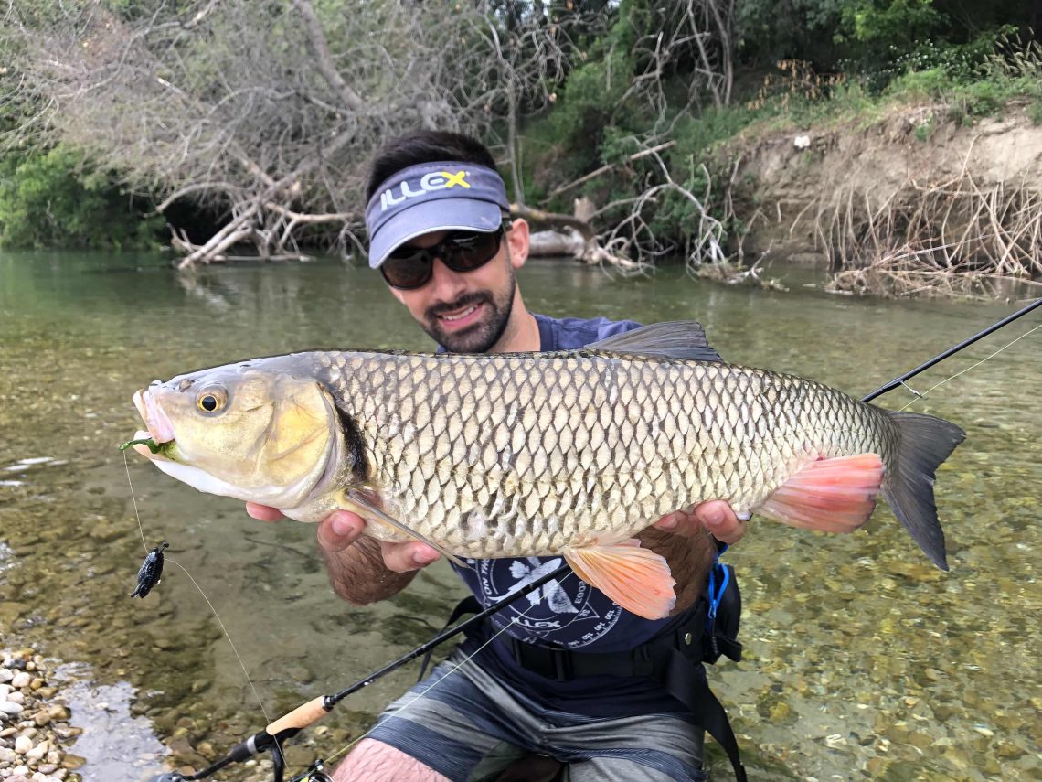 poisson tenu par un pêcheur