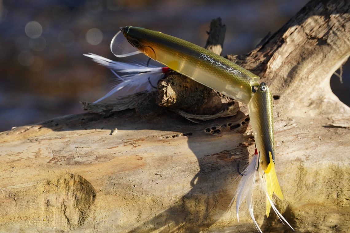 leurre de pêche photographié en gros plan