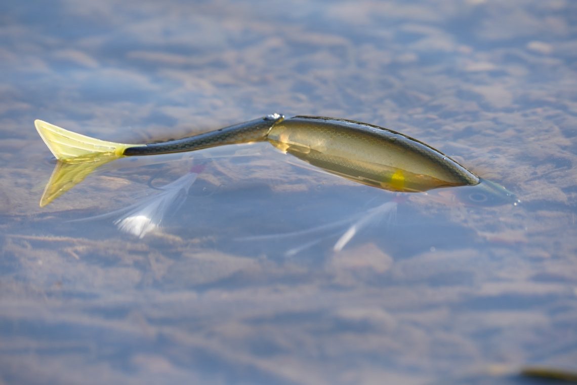 leurre de pêche photographié dans l'eau