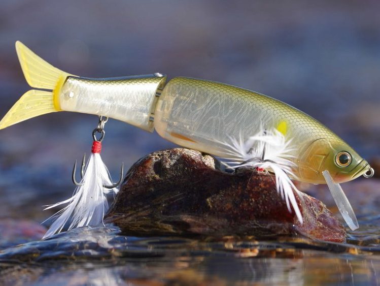 leurre de pêche photographié en gros plan