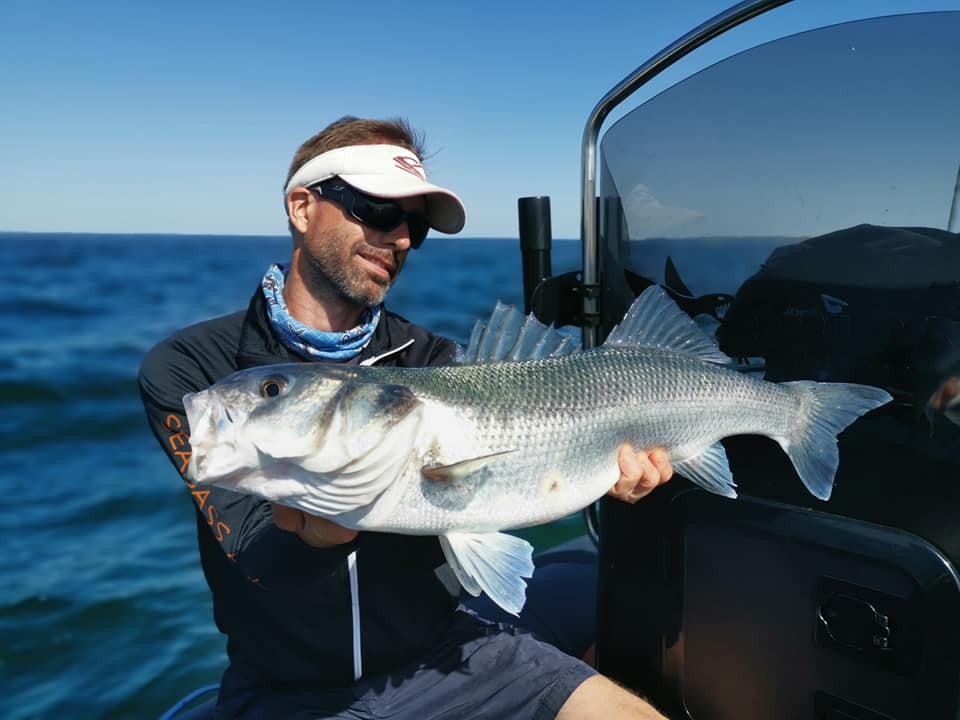 Moins courants dans la chambre, sur les extérieurs, les poissons de plus de 70cm sont courants.