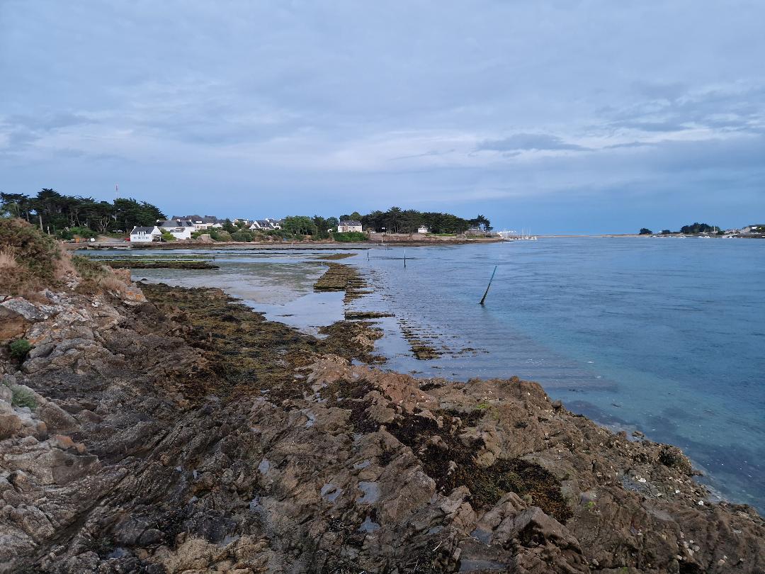 Un tombant en sortie de baie balayé par une belle veine de courant. Le spot idéal pour débuter cette sortie.