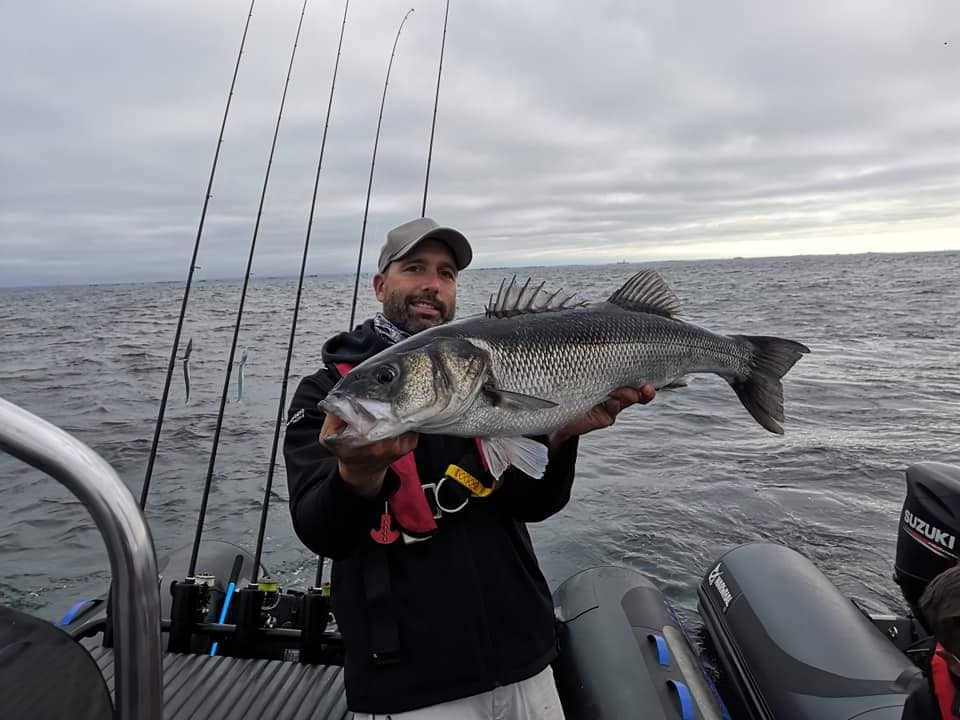 Un poisson de 80cm pris lors de l'open des Glenan au Crazy Paddle Tail 150.