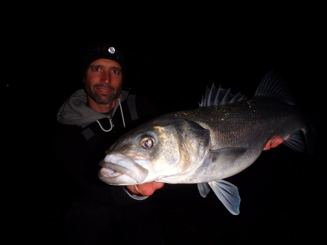 La nuit, les gros poissons sont à portée de lancer, voire dans vos pieds.