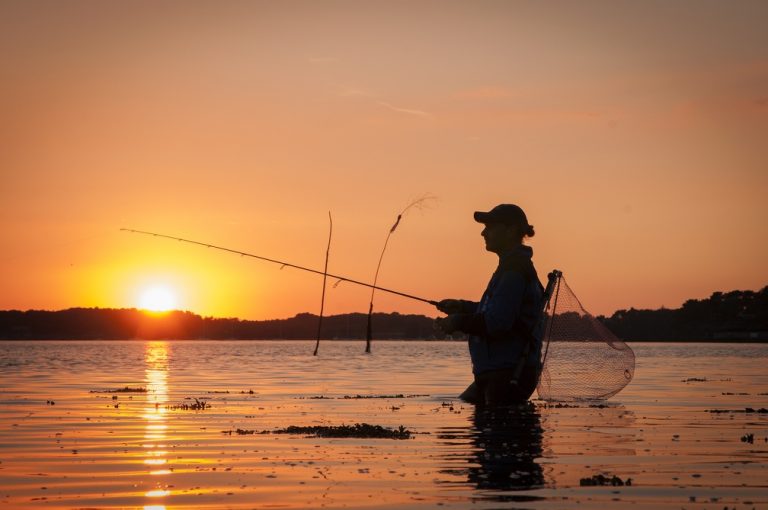 La pêche du bar de nuit au leurre, un choix stratégique gagnant !
