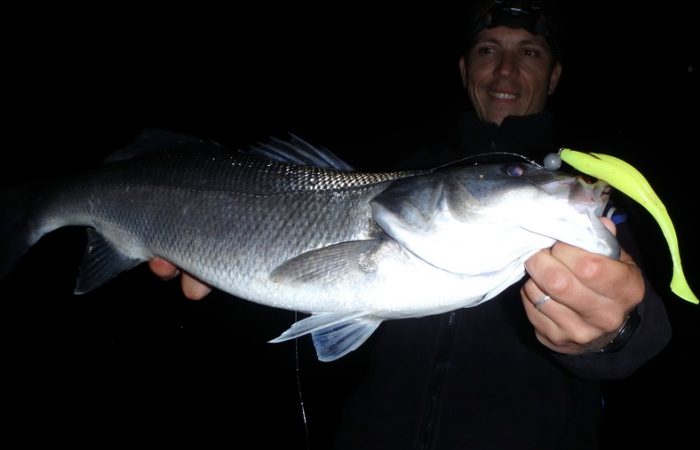 Les accessoires indispensables du pêcheur de brochet - Peche et