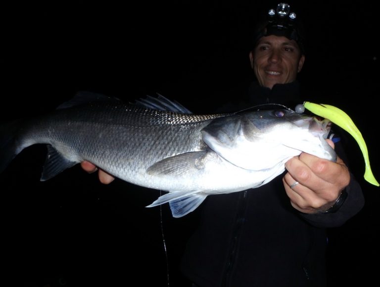 Le matériel de pêche et de sécurité indispensables pour pêcher le bar de nuit