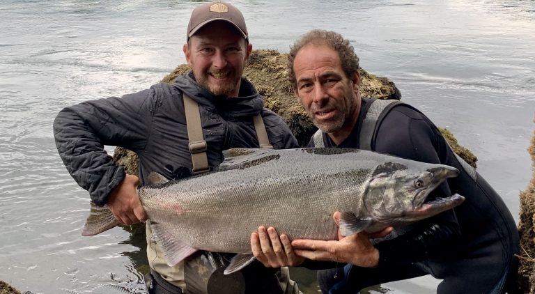 Le saumon King de Patagonie, une pêche au rythme du cycle de migration