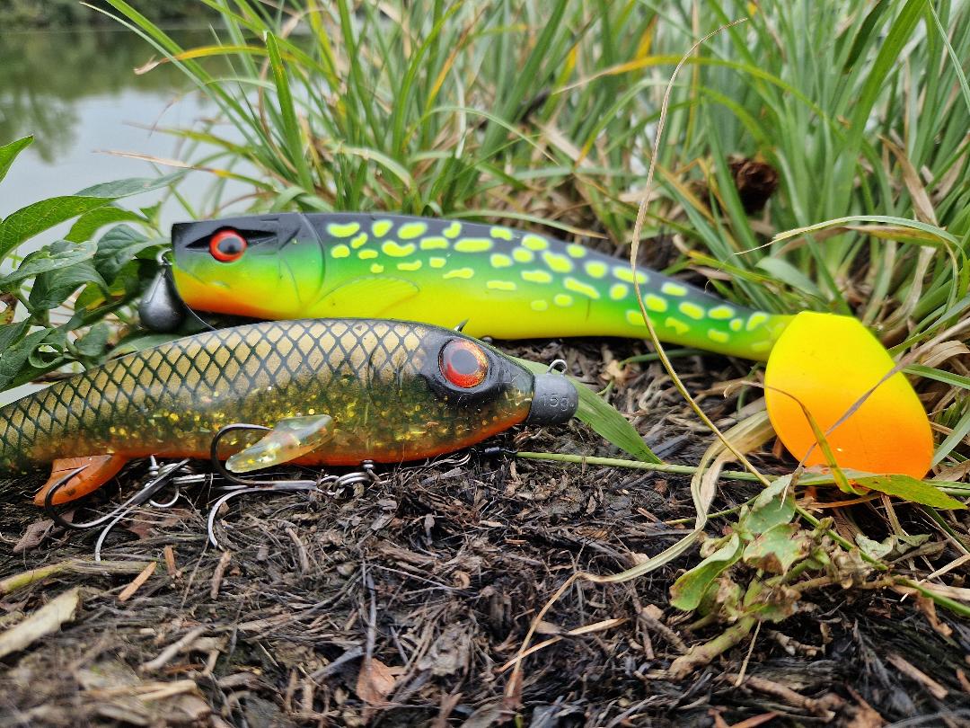 Les gros shads de 25cm comme le Dexter Shad d'Illex sont excellents lorsque l'eau se refroidit et que l'activité baisse.