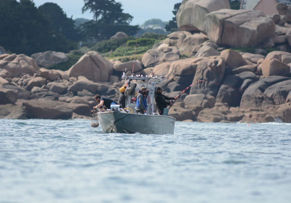 Pourquoi faire le choix d’un moulinet à tambour tournant pour la pêche du thon rouge ?