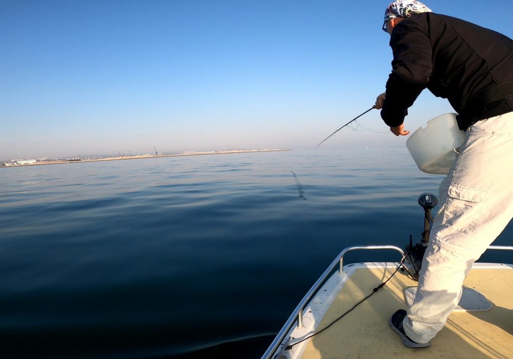 La pêche du bar à la mouche sur chasse, une approche de saison !