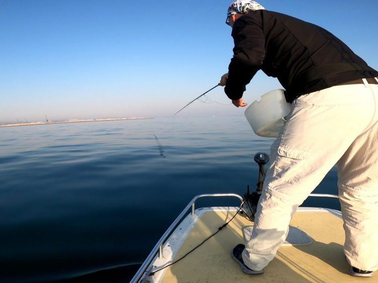 La pêche du bar à la canne - Chasse Marée