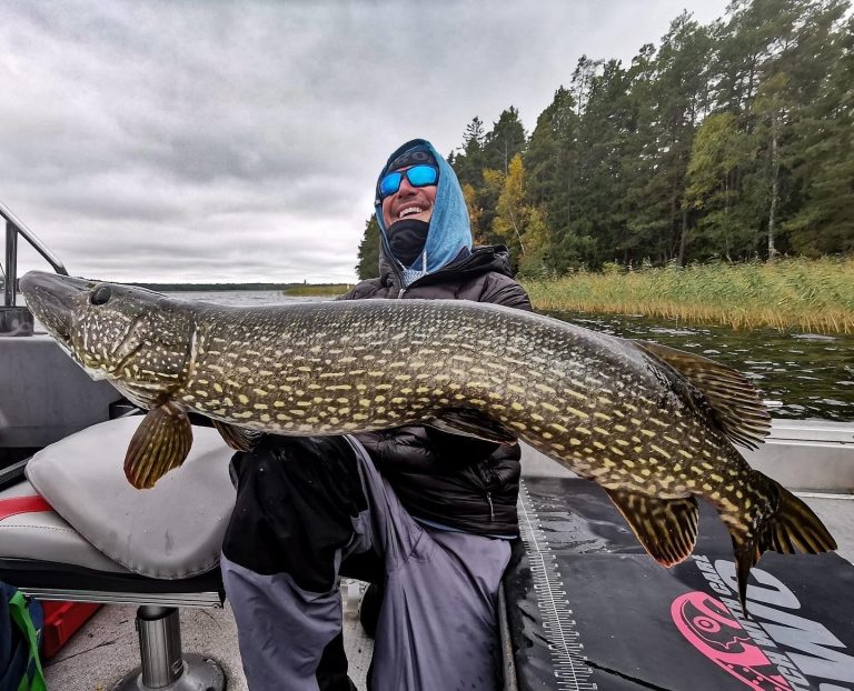 Voyage de pêche : à la conquête des brochets trophées de Finlande !