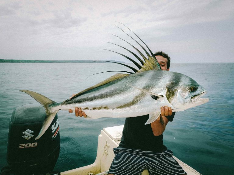 Quel est le matériel idéal pour partir pêcher le poisson coq au Costa Rica ?