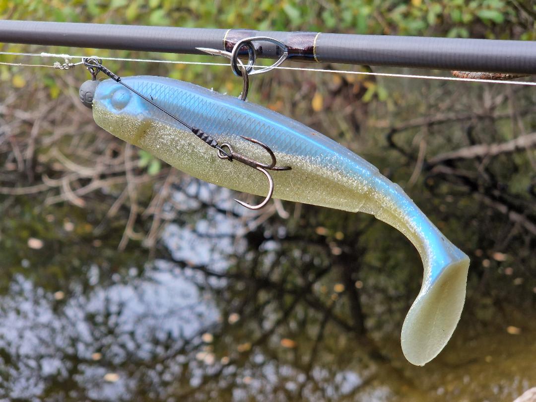 La pêche du brochet au leurre souple, une technique payante