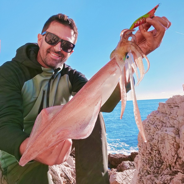 Débuter la pêche au calamar du bord