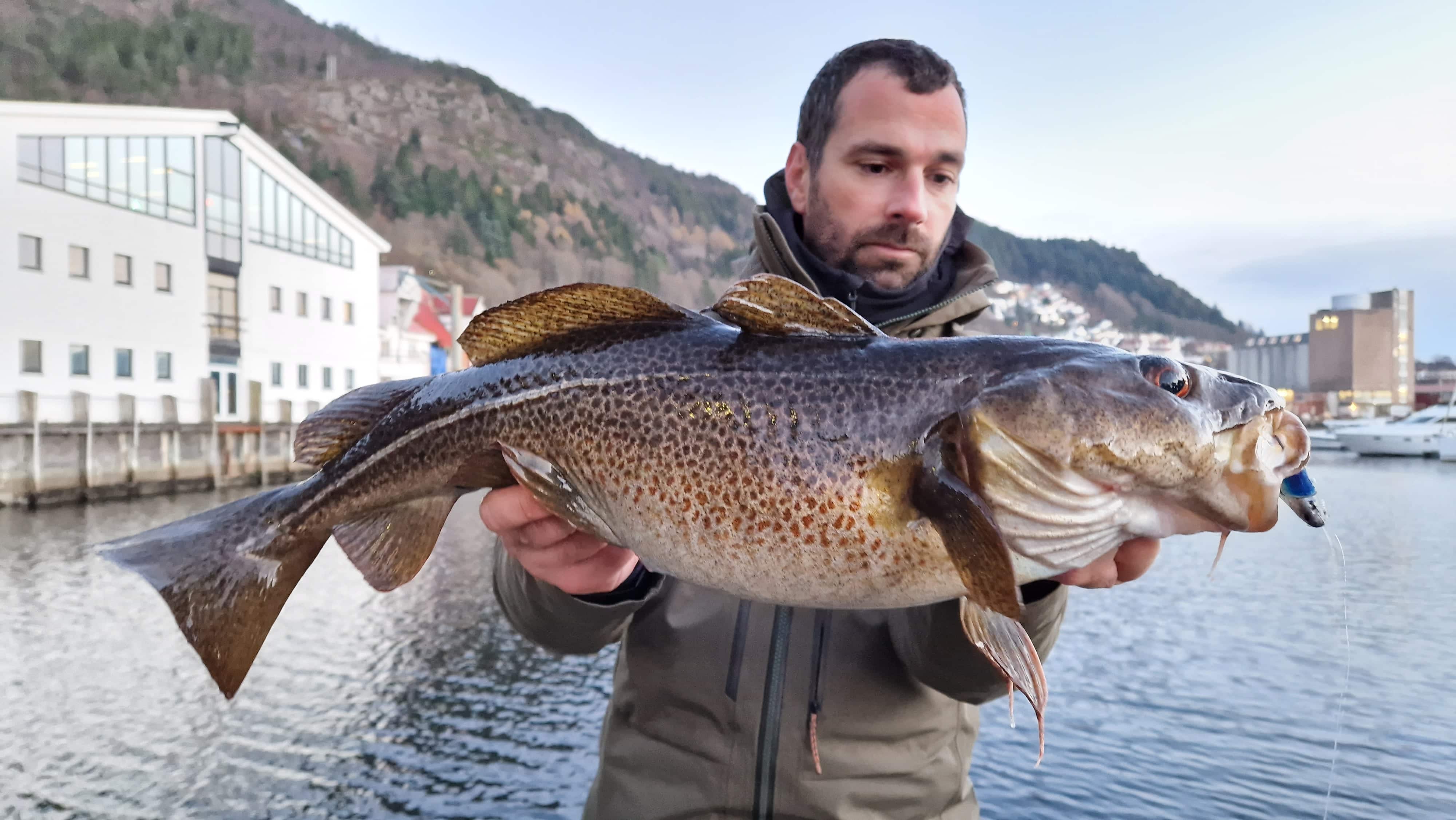 Norvège : conseils, spots, leurres et matériel pour réussir son voyage de pêche du bord !