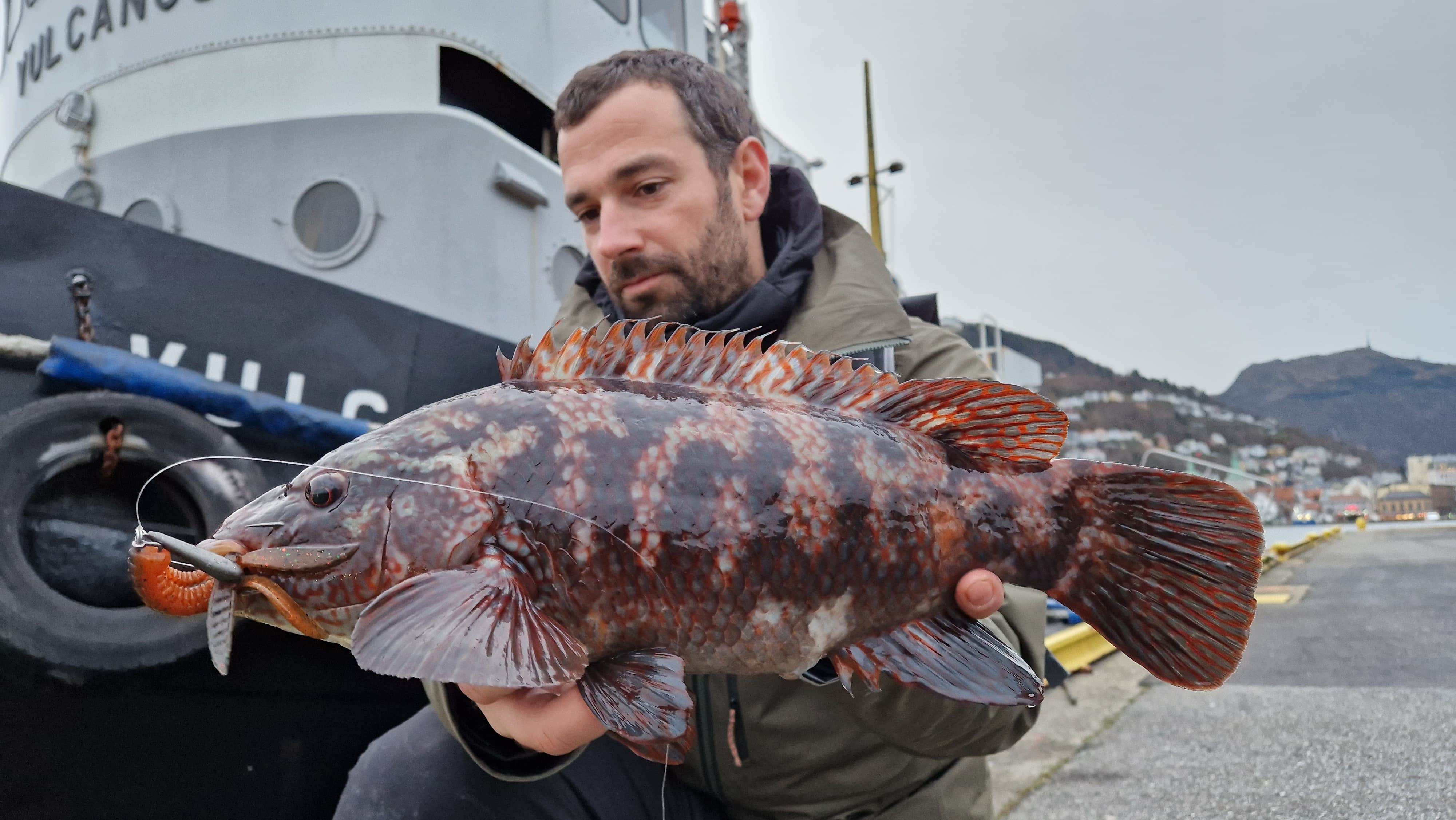 Fermeture du Brochet : 5 leurres souples pour réussir - Delalande Pêche -  Leurres souples