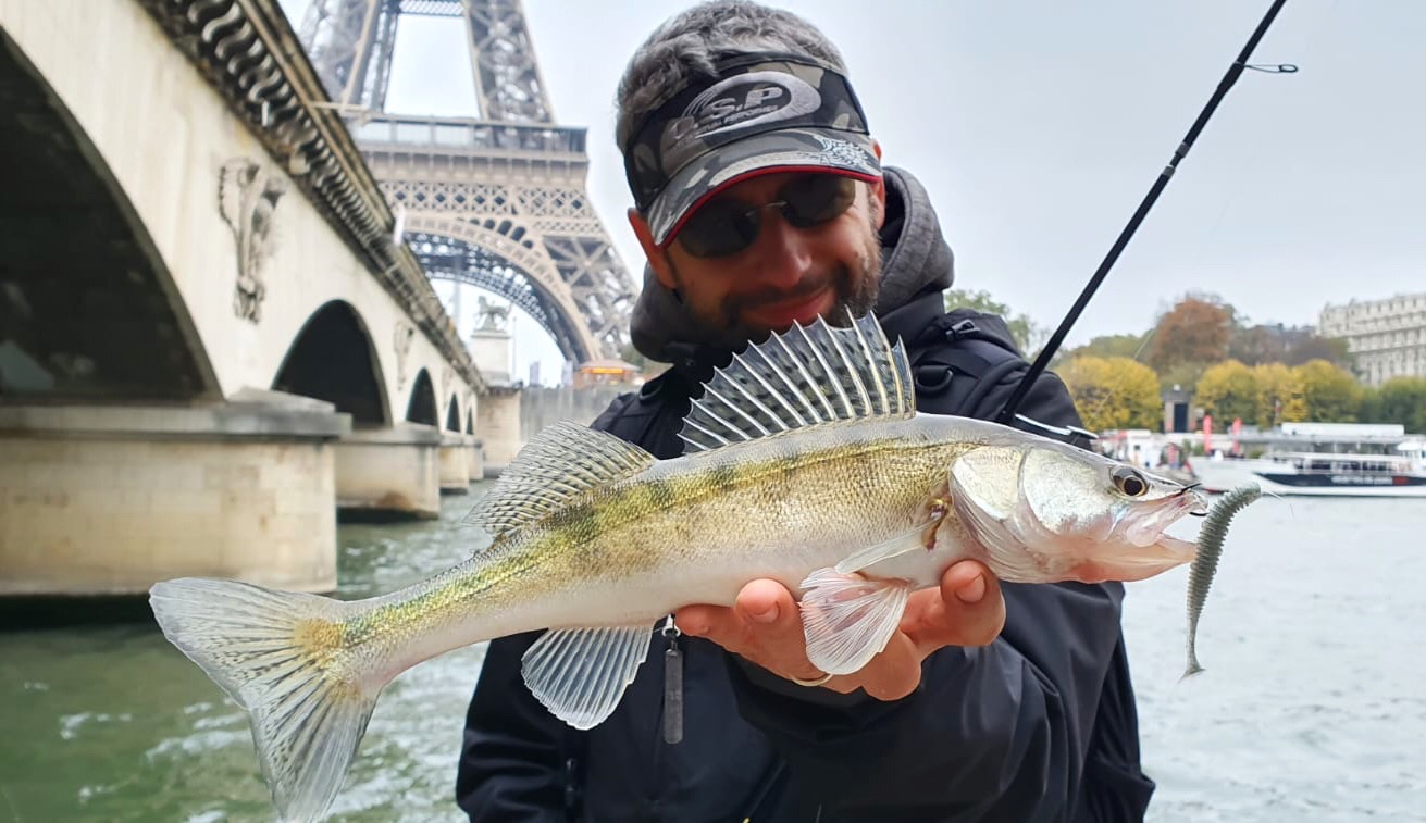 Avec le montage drop shot, le leurre souple n'est soumis qu'à son propre poids et est décollé du fond. 